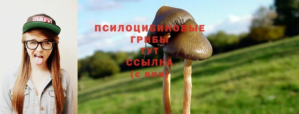 a pvp Карталы