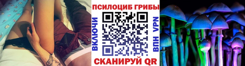 Купить где  Белоусово  Псилоцибиновые грибы Cubensis 